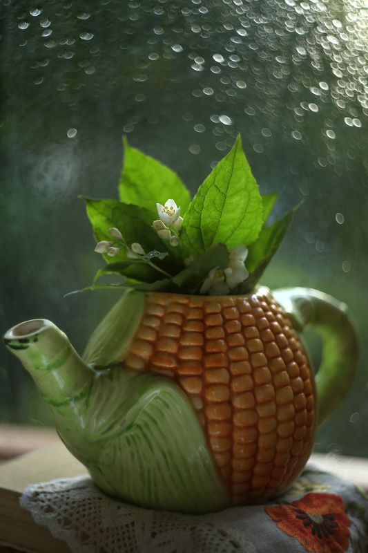 жасминовое настроение,бокешки,жизнь,гелиос 44-3 Вечереет..) фото превью