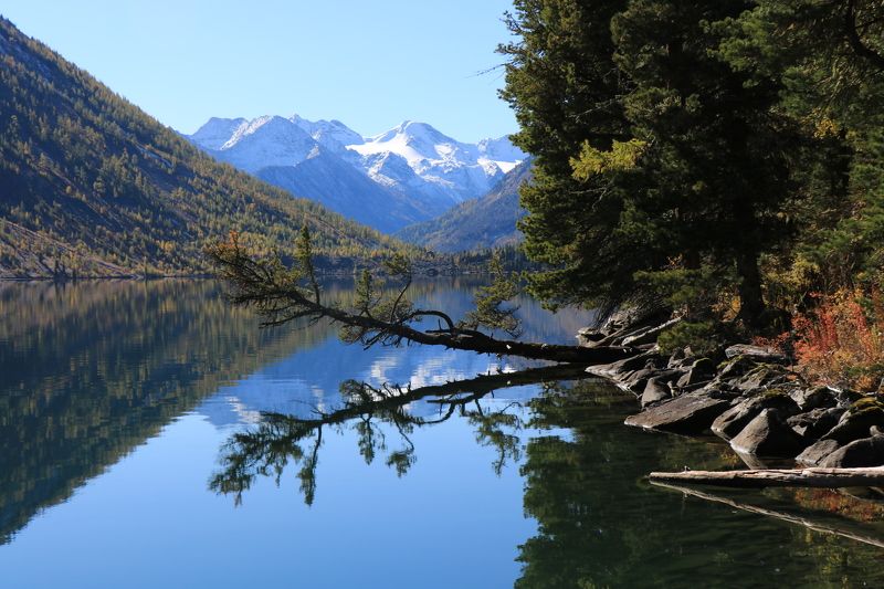 природа,озеро,нижнеемультинское,горы,отражение,дерево,алтай Отражение в горном озереphoto preview