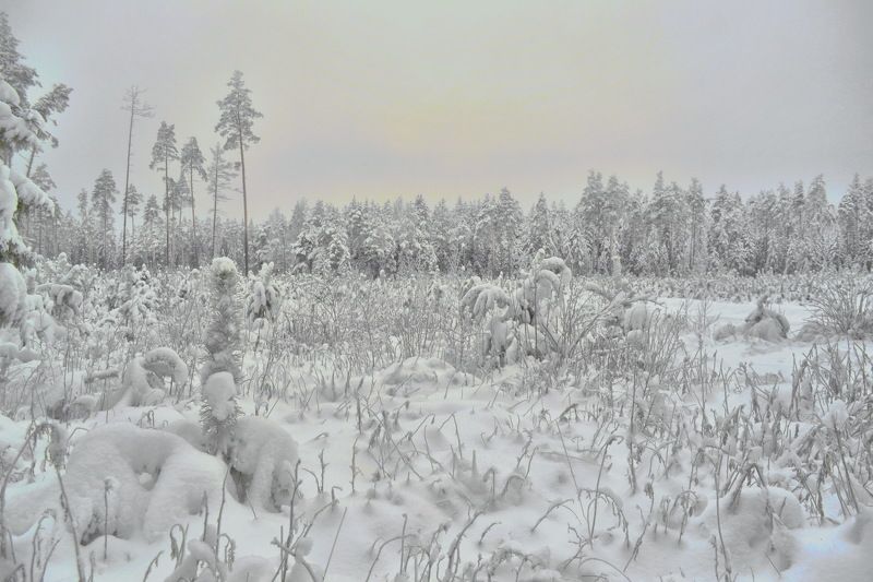 После снегопада photo preview