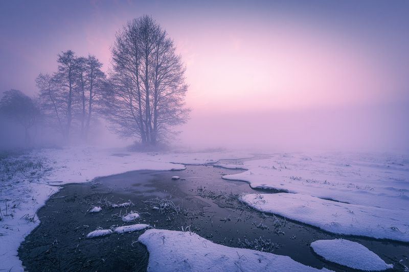 Winter storyphoto preview