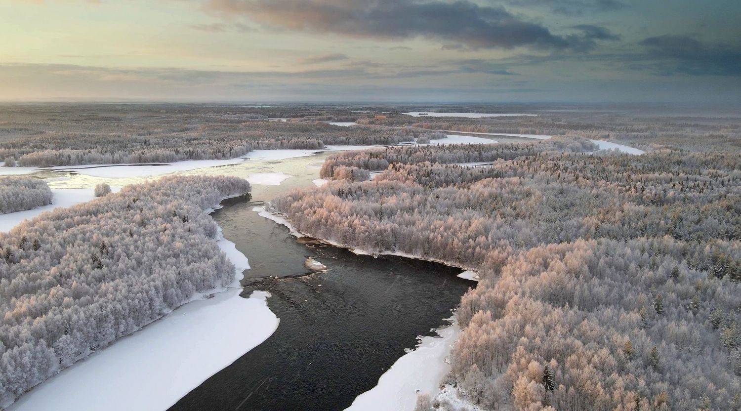 ***. Автор: Александр Коротков , Александр Коротков