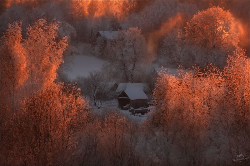 Пушкинские горы, Псковская область, Савкино, Михайловское, Тригорское Петровское, зима, Пушкин Рождение света ..photo preview