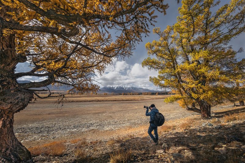 Фотография осениphoto preview