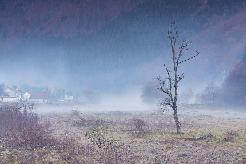 вечер, вода, горы, карпаты, ноябрь, осень, река, туман, украина Осенняя меланхолияphoto preview