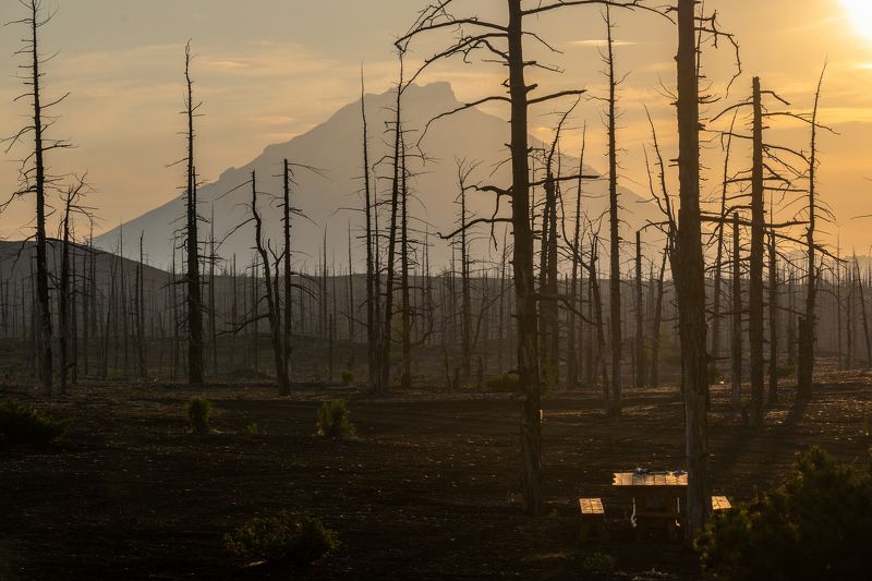 мёртвый лес, камчатка, толбачик, рассвет, солнце, вулкан, восход, kamchatka, volcano, sunrise, tolbachik Рассвет в мёртвом лесуphoto preview