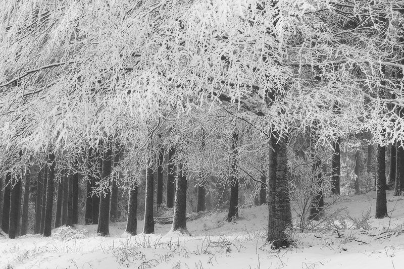 2020 фото превью