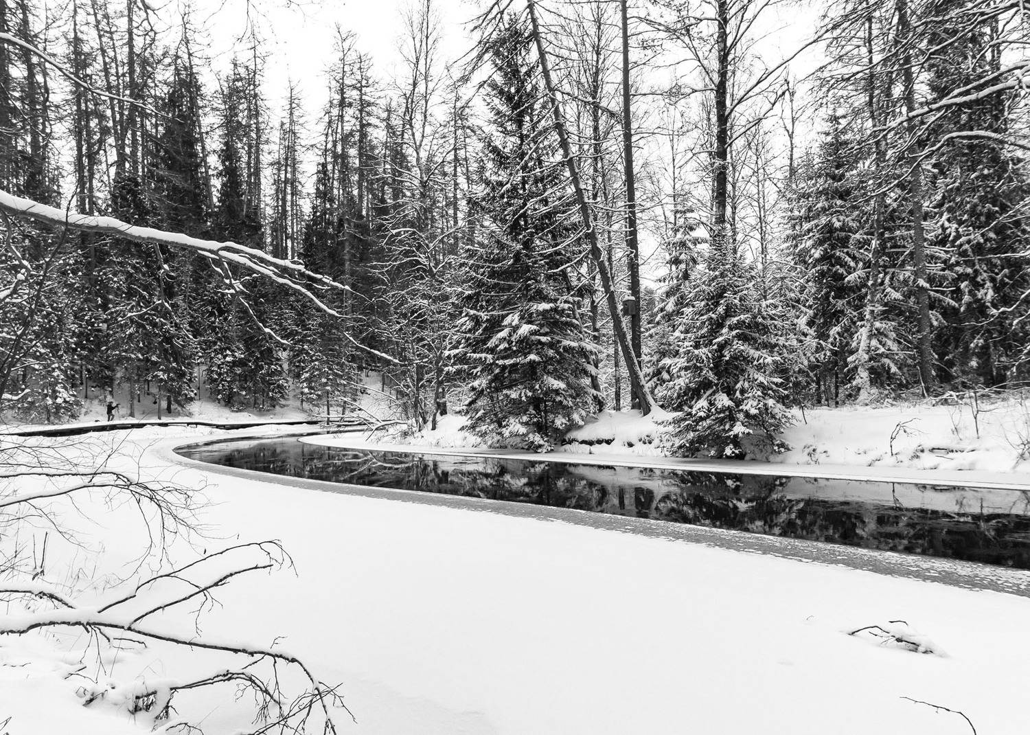 Автор: Алексей Герасимов , Алексей Герасимов