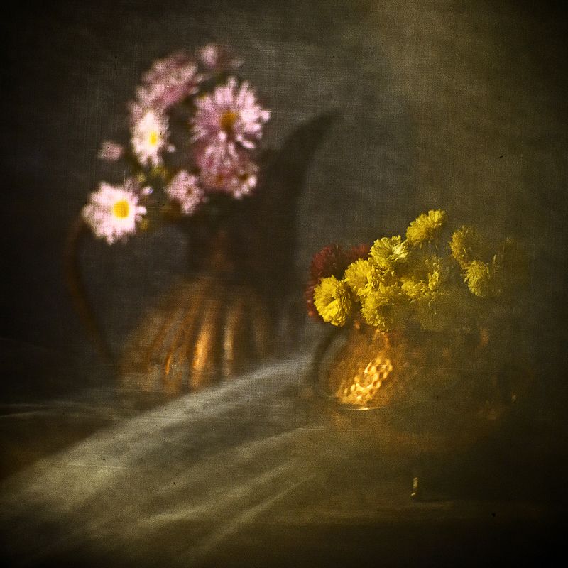 Поздней осени цветыphoto preview