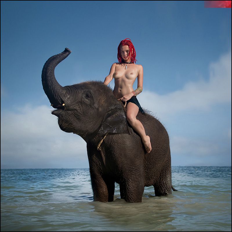 JUMBO ©photo preview