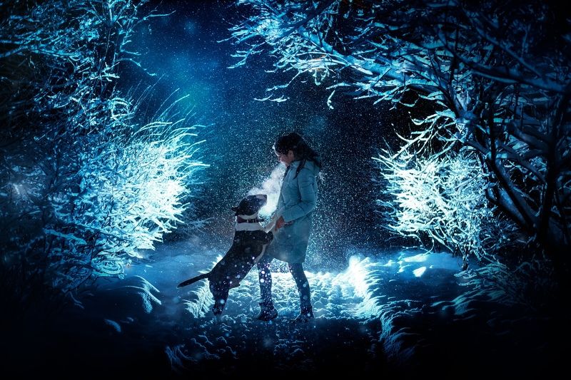 девушка, собака, зима, снегопад, ночь, дружба, любовь, бультерьер, питомец В студеную зимнюю пору...photo preview