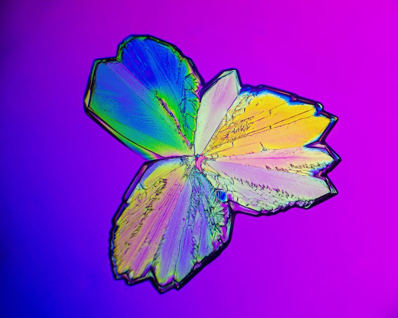 Xylitol under the microscopephoto preview