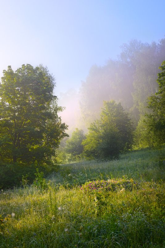 Лето.photo preview