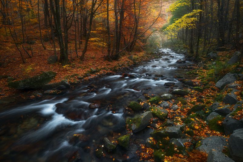 Passing byphoto preview