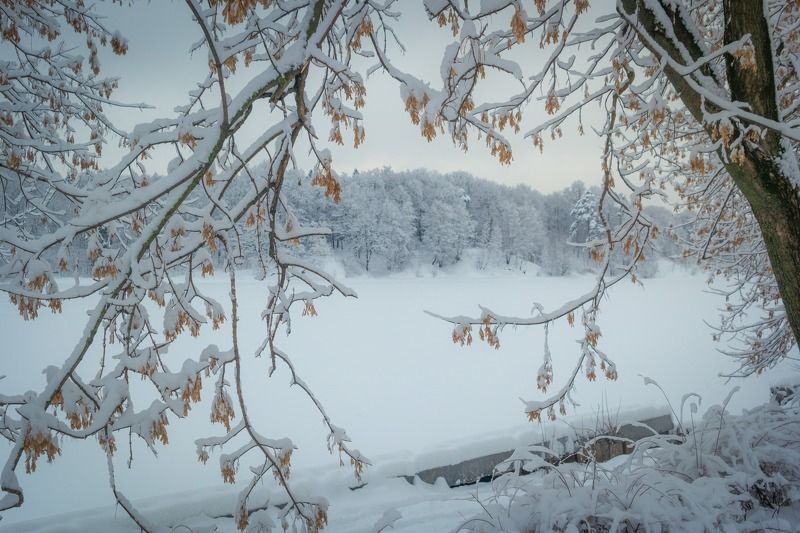 Белая зимаphoto preview