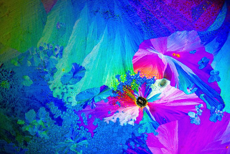 CABA under the microscopephoto preview