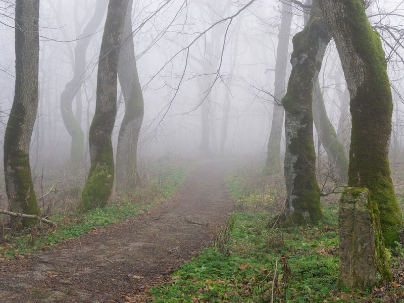 железноводск, туман, кмв Туманный декабрьphoto preview