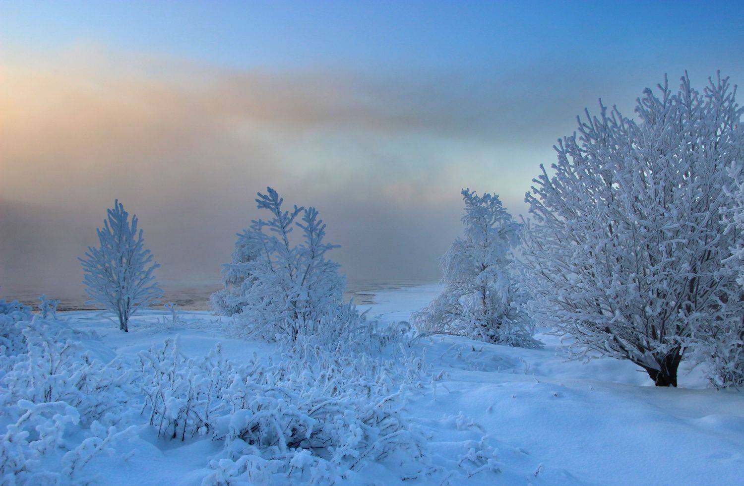 , Александр Коротков