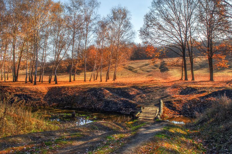 Мостик в осеньphoto preview