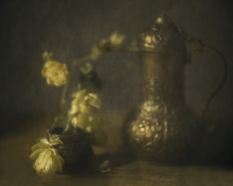 Хмельной вечерphoto preview