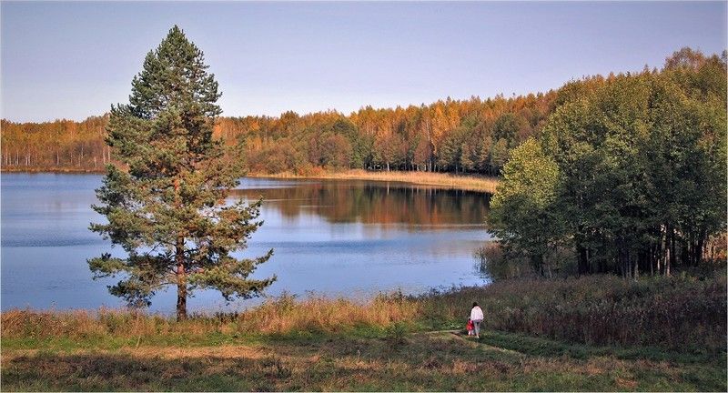 Светлоярphoto preview