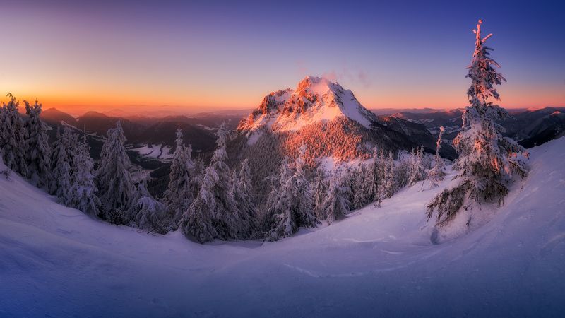 The Kingphoto preview