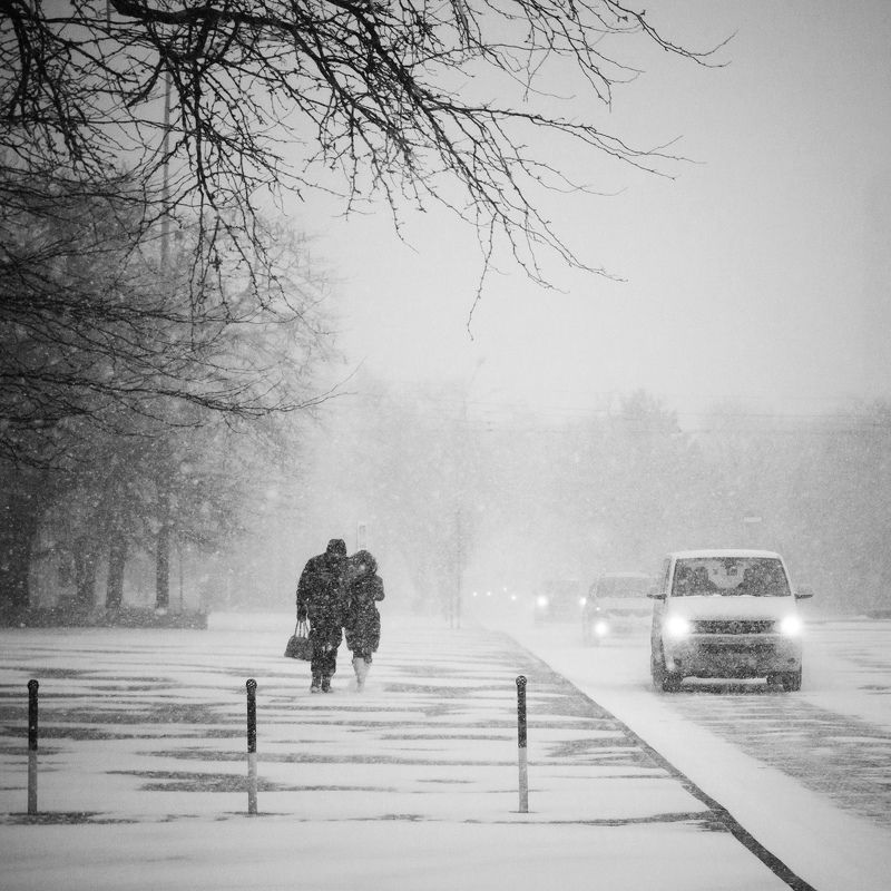 Заснежило...photo preview