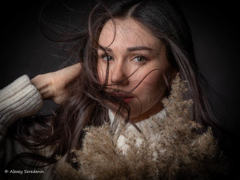 Ветерphoto preview