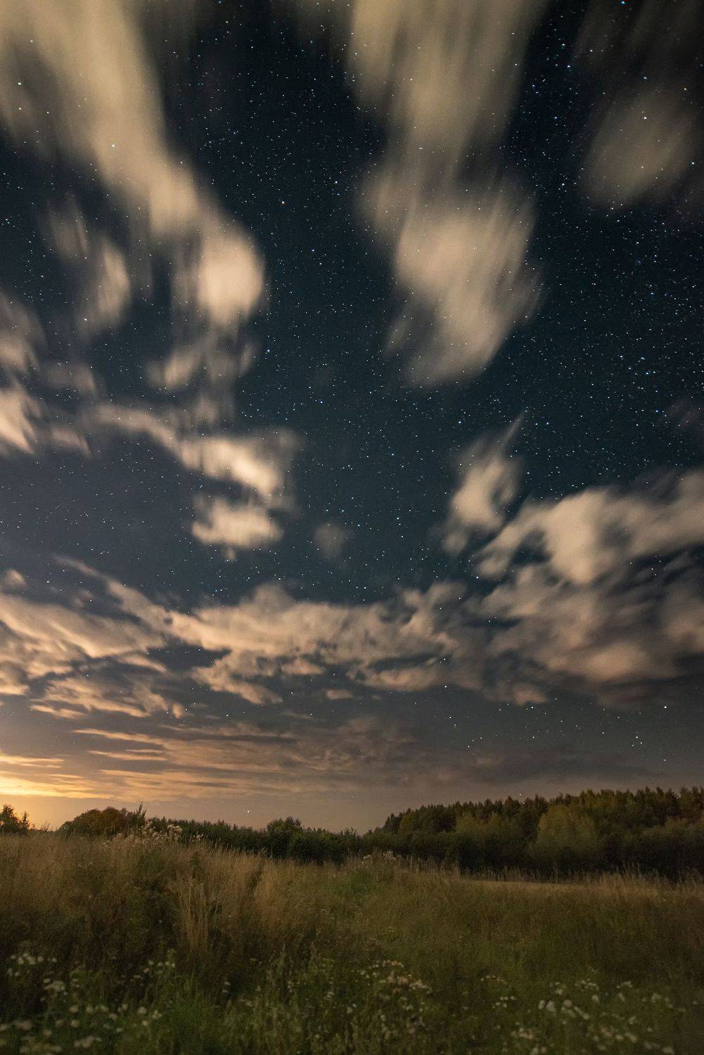 ночь, звезды, облака, поле, лес, лето, Сальников Евгений