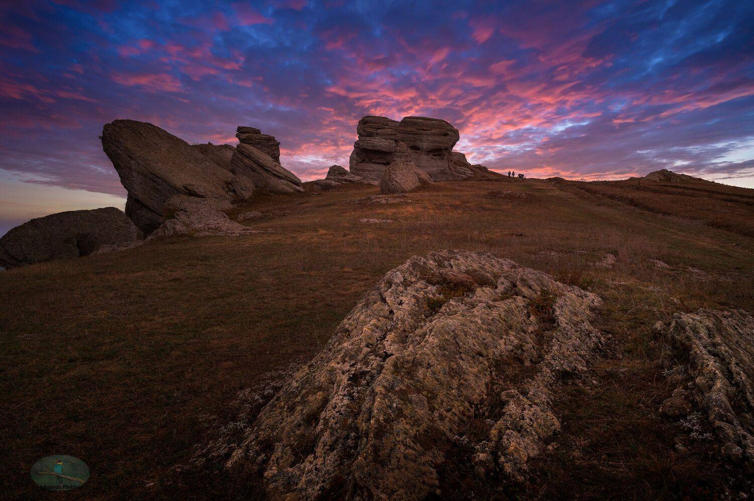 , Alexander Plekhanov