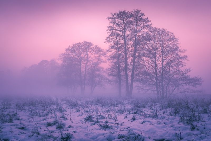 Magic of the blue hourphoto preview