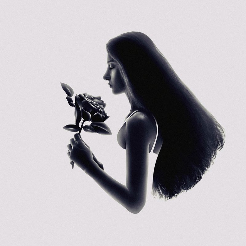 SURREAL,FANTASY,IMAGINATION,WOMAN,ART,SURREALISM,MONTAGE,SILHOUETTE,DARK ,LIGHT,PORTRAIT,ROSE,HAND,MINIMALISM,CONCEPTUAL,FINE ART,FLOWER,FACE The Soul of The Rosephoto preview