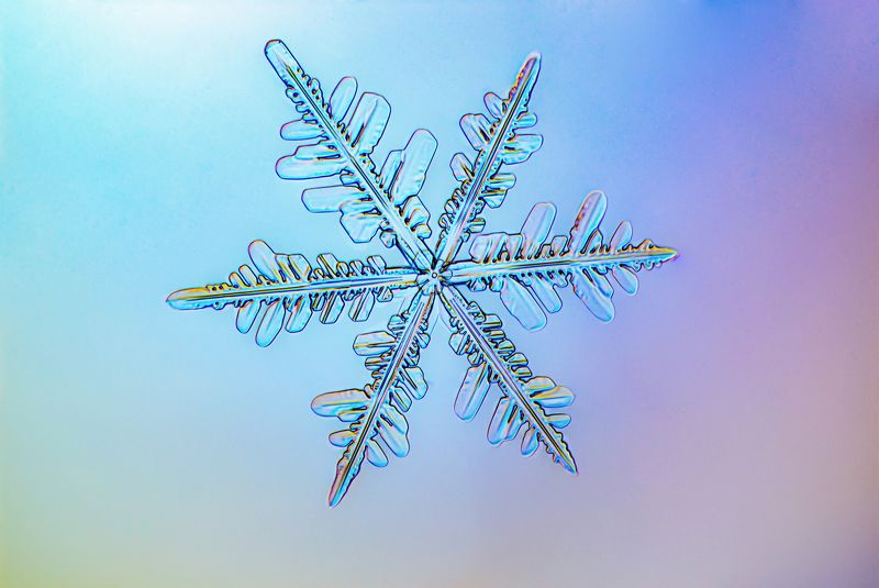 Snowflakephoto preview