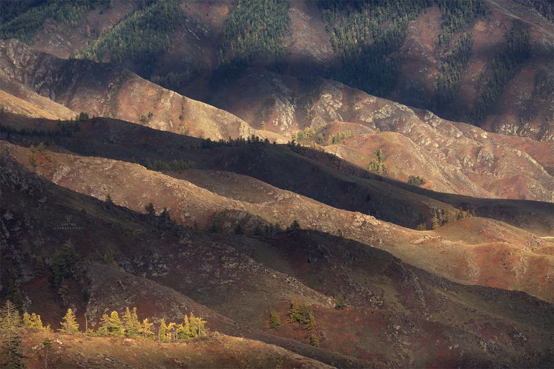 Светотени Алтаяphoto preview