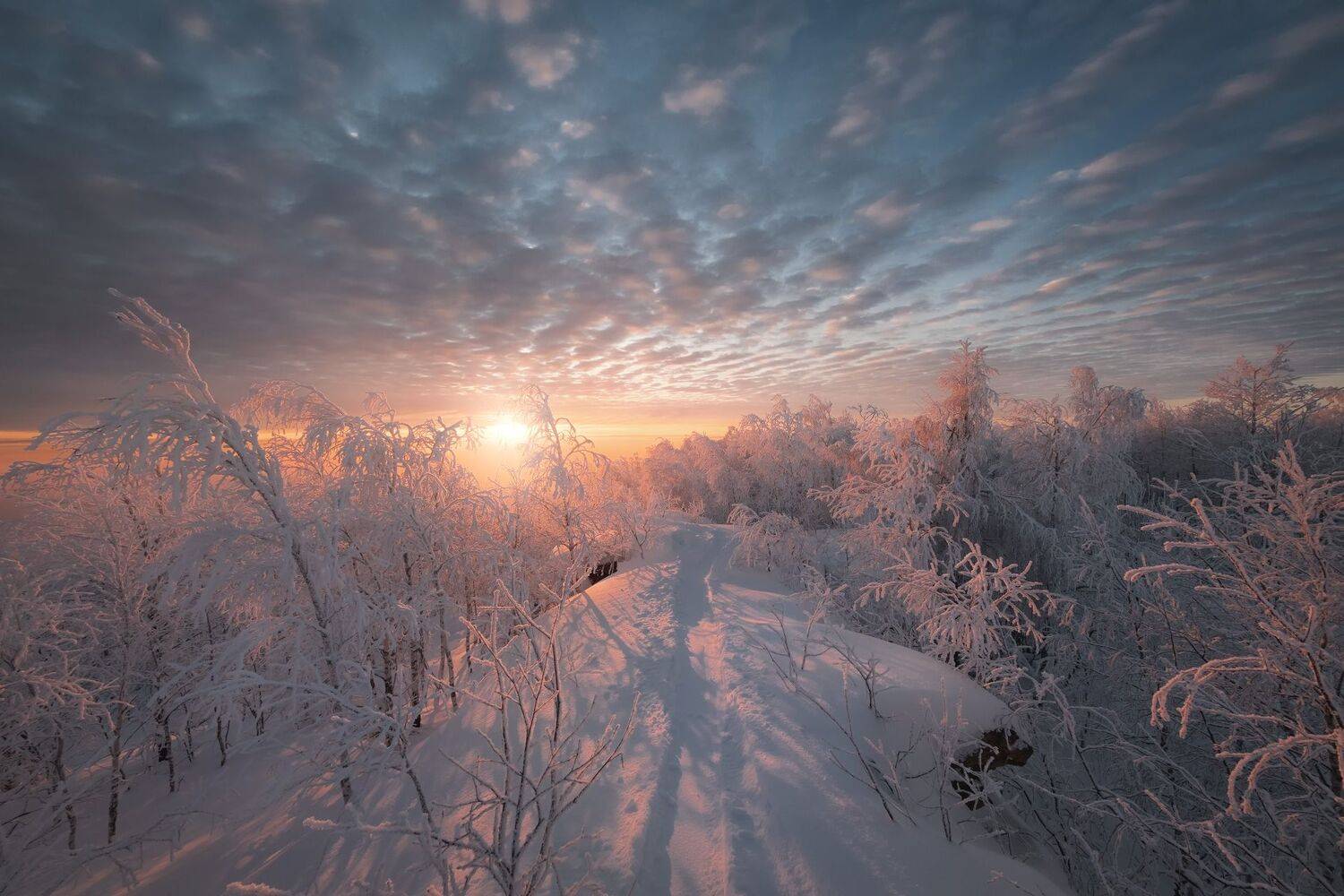 Тропинка к солнцу. Автор: Андрей Чиж зима, мороз, губаха, гора, крестовая, снег, рассвет, утро, солнце, пермь, пейзаж, Андрей Чиж