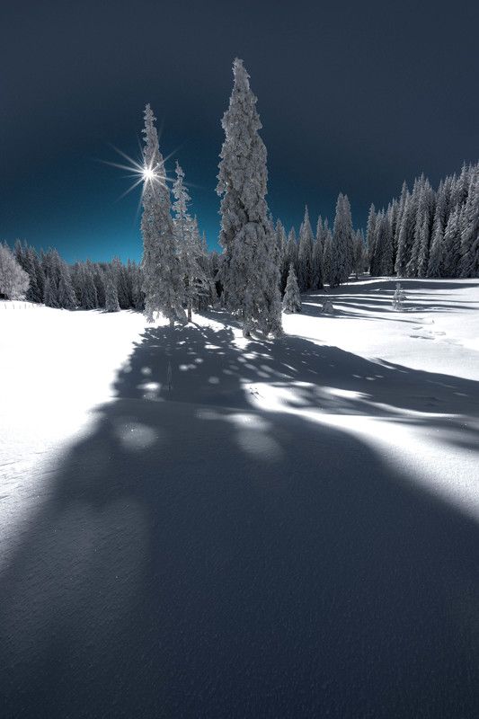 #landscape#nature#winter Зимна приказкаphoto preview