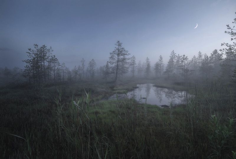 Рассвет на болотеphoto preview