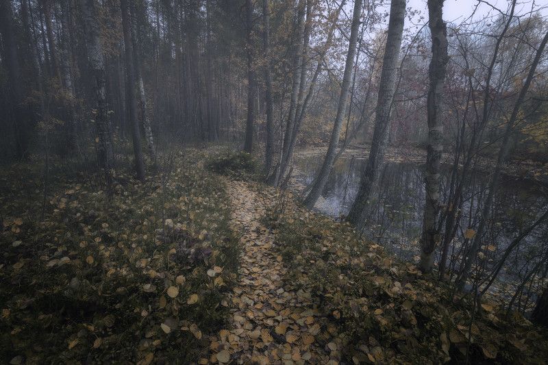 Осеньphoto preview