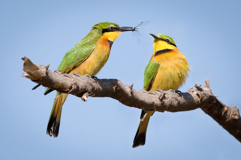 у меня тоже есть...photo preview