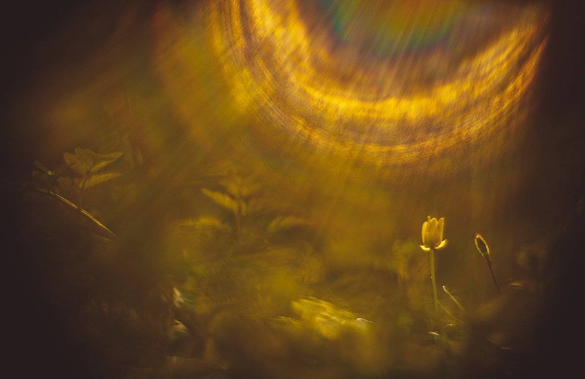 , Татьяна Аверина