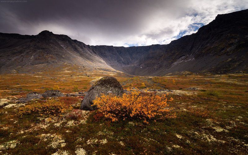Autumn, Khibiny, Light, Mountains, Горы, Кольский, Малая белая, Осень, Хибины Поцелуй осениphoto preview