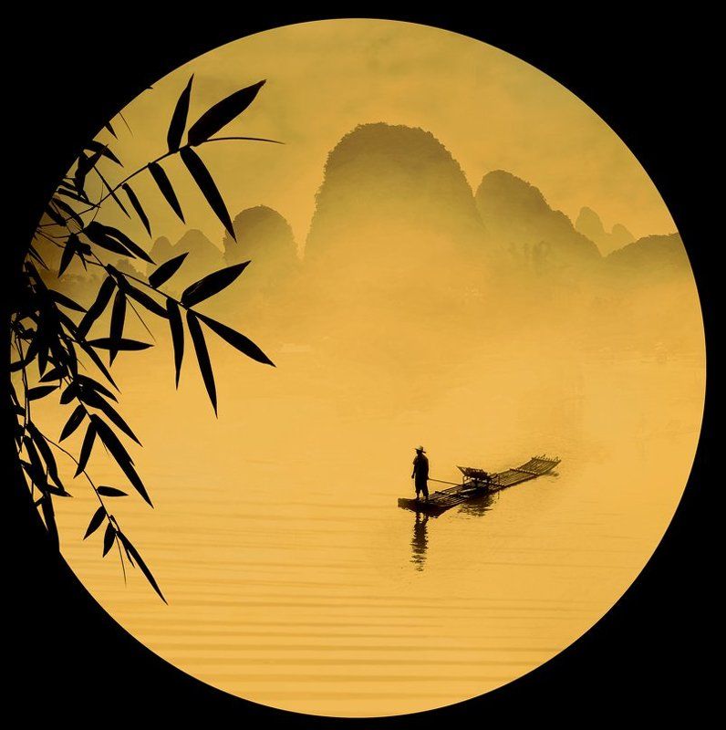 The Circles of Life...photo preview