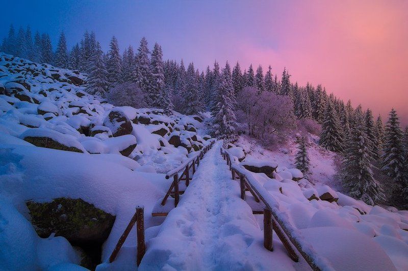 Sudden blastphoto preview