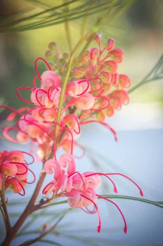 На рассвете.photo preview