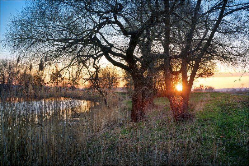 Март...photo preview