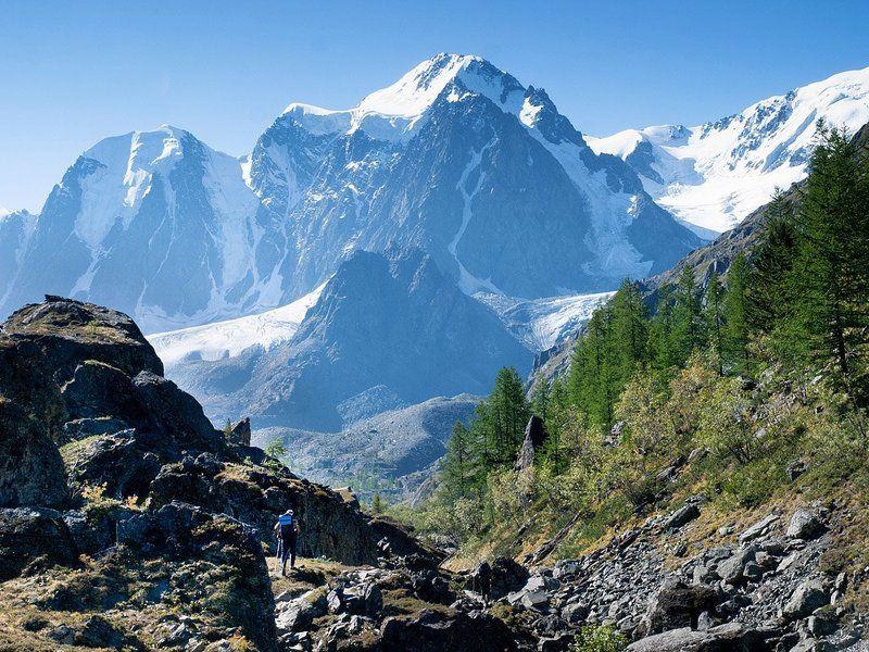 Воронцов Алексейphoto preview