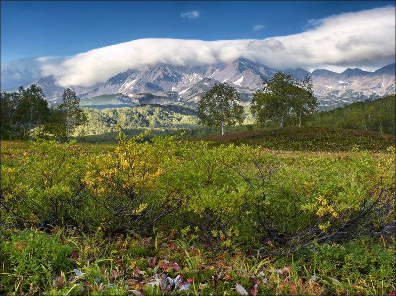 Камчатская тундра.photo preview