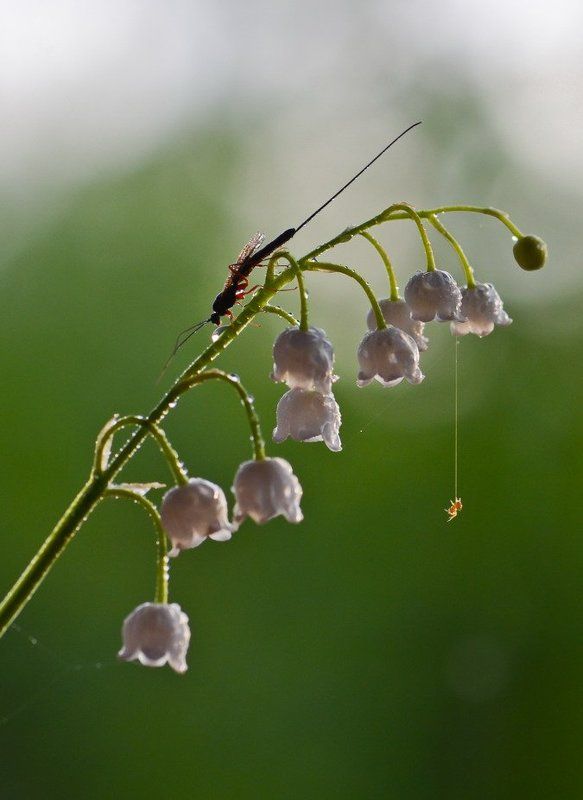 Агент 007photo preview