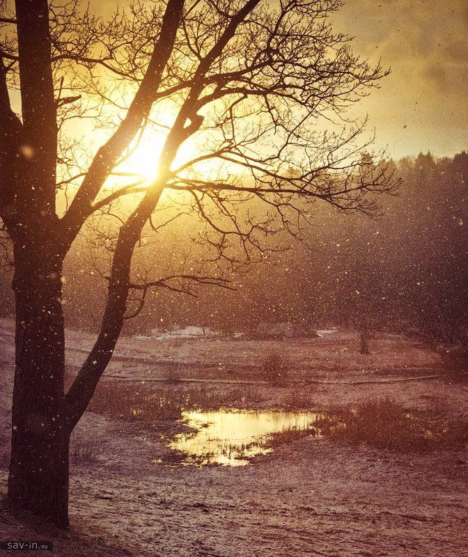 Солнце и снег. 31 марта 2014photo preview