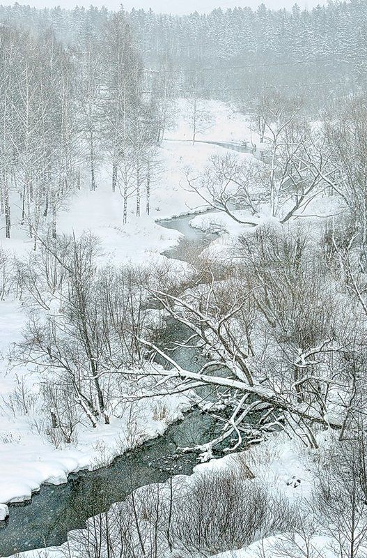 А  в  марте опять снег...photo preview