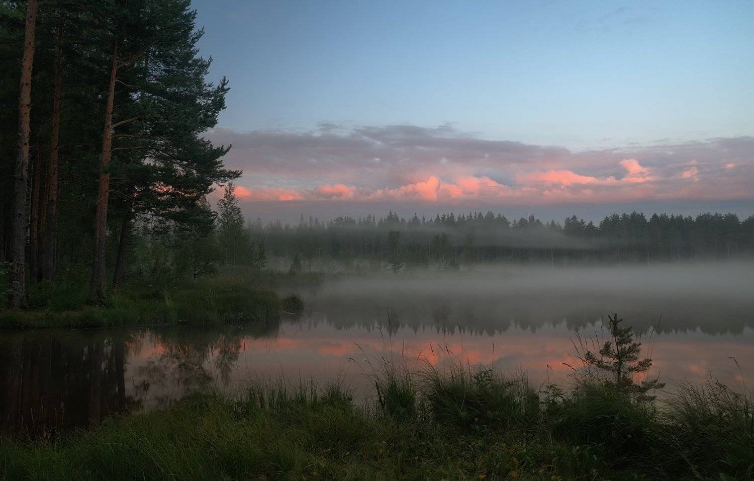 С добрым утром!). Автор: Ivvian , Ivvian